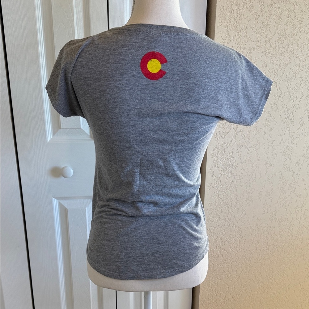 Anvil Gray V-Neck Tee with Graphic Design - Picture 3 of 3